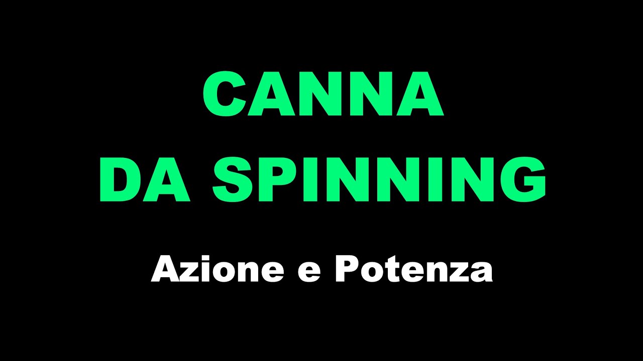 #16 - Canna da spinning, azione e potenza