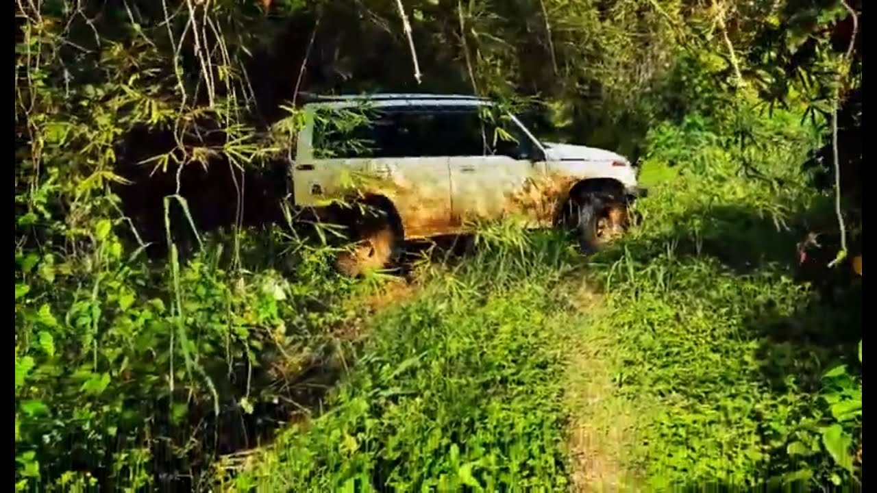 Jungle camping Suriname