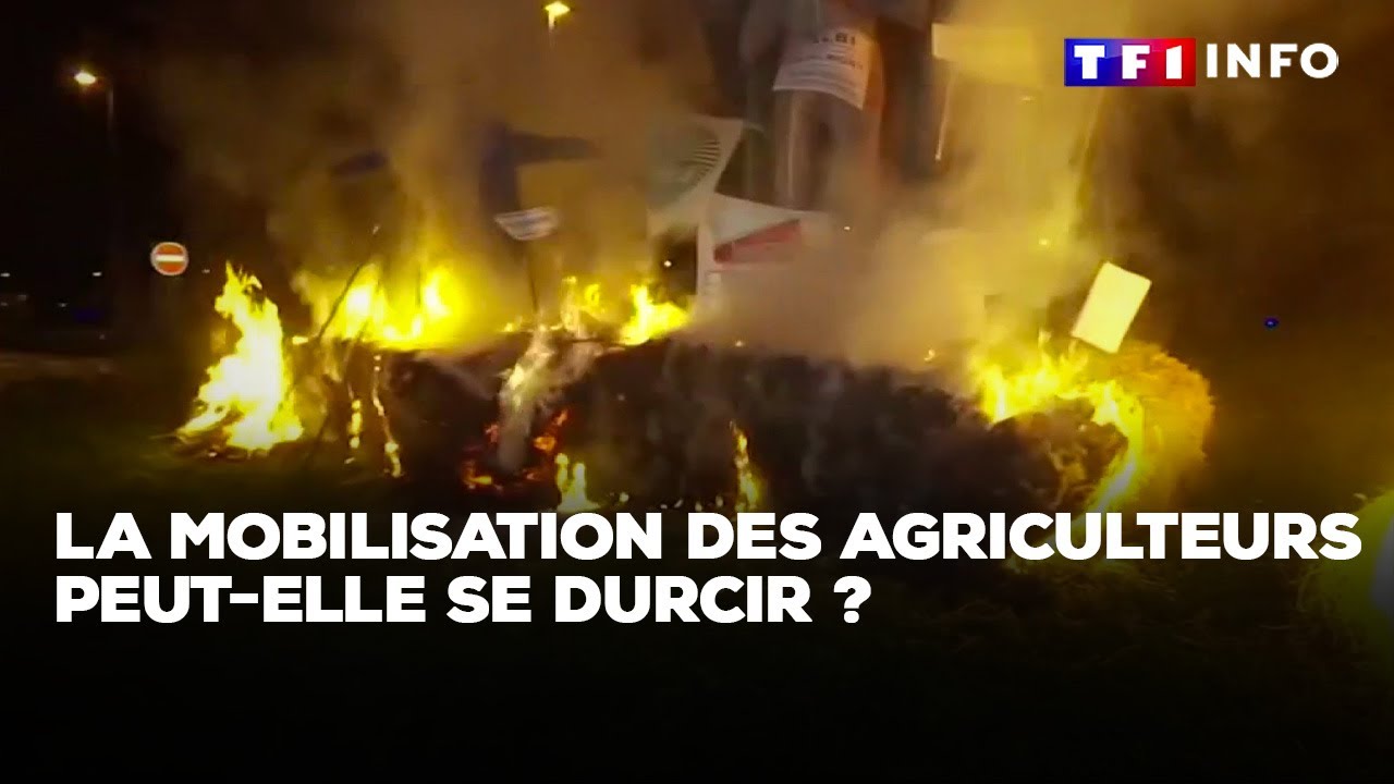 La mobilisation des agriculteurs peut-elle se durcir ?｜TF1 INFO