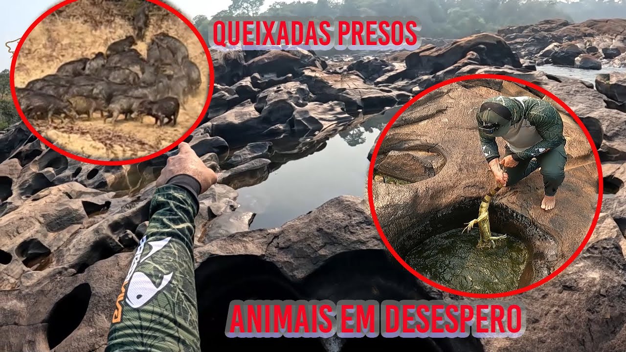 CHORO, ALEGRIA, DESEPERO UM VERDADEIRO FILME DESSA PESCARIA!