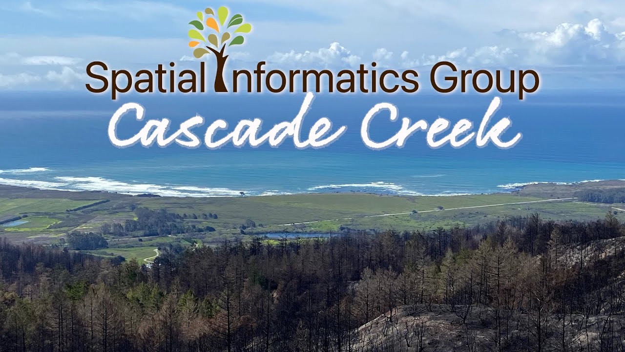 Cascade Creek: Coastal Redwoods and the CZU Fire