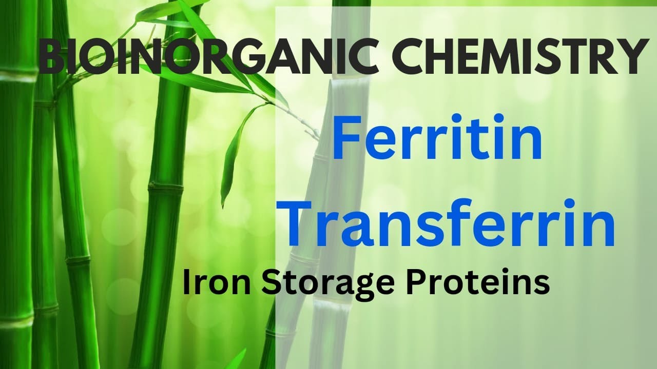 Ферритин и трансферрин #Железосодержащие белки #Биохимия L-32 #csirnet #gate