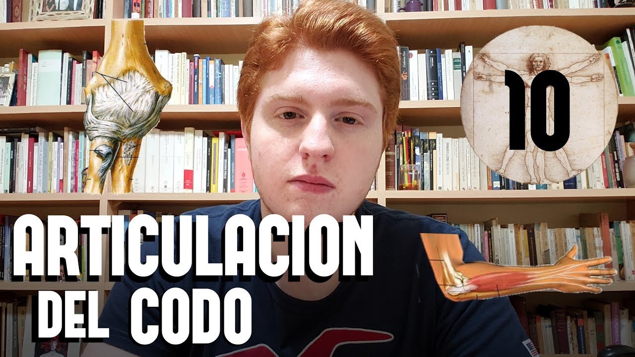 ARTICULACIONES DEL CODO, ANTEBRAZO Y MANO. ANATOMIA | MORTASH