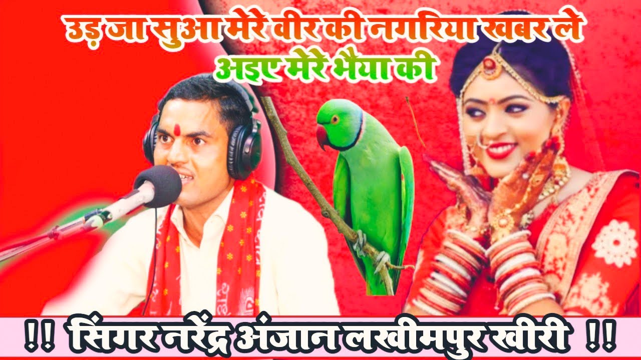 2025@सावन मल्हार//उड़ जा सुआ मेरे वीर की नगरिया खबर ले अइए मेरे भैया की//गायक नरेंद्र अंजान लखीमपुर