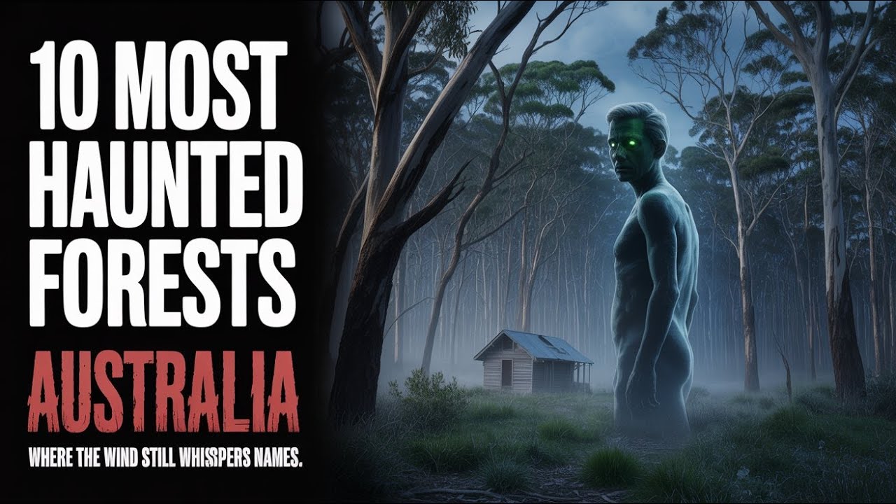 10 Most Haunted Forests in Australia | Where the Wind Still Whispers Names