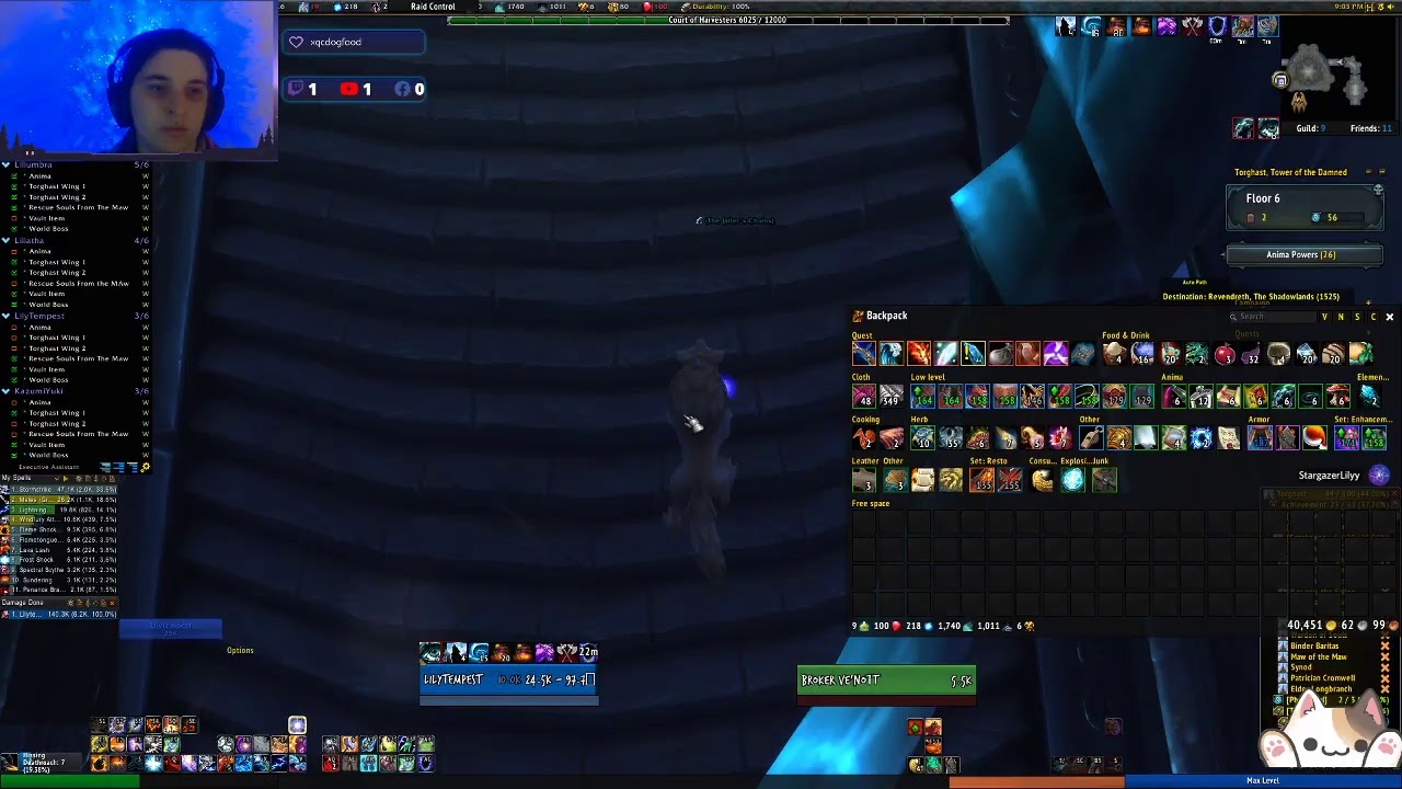 Cozy WoW Stream