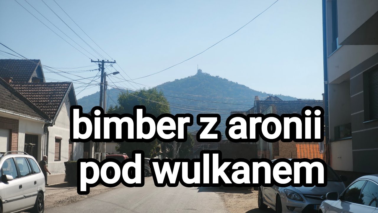 Stare drzewa na rynku, wianki z przytulii, bimber z aronii, makowiec z orzech&oacute;w, g&oacute;ra jak wulkan