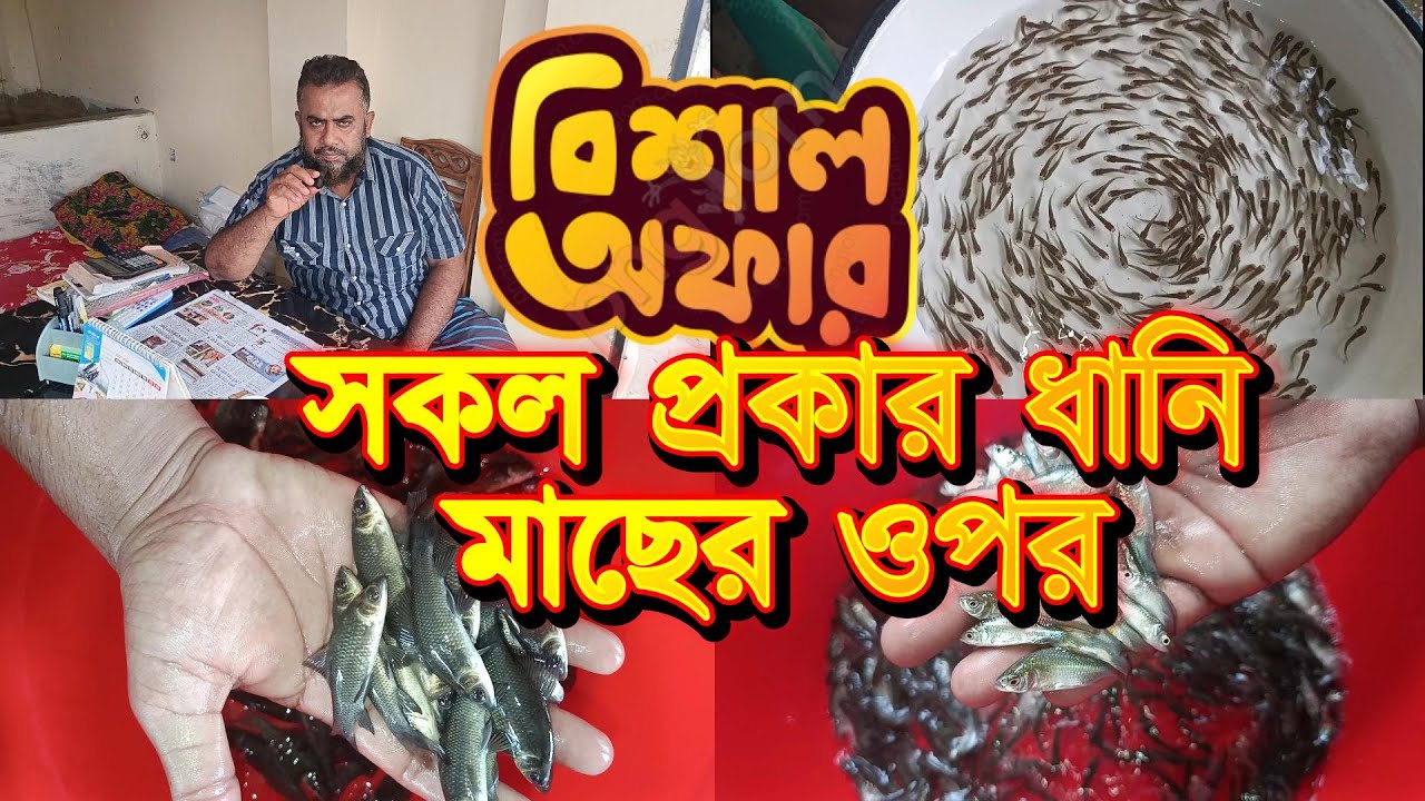 মাছের পোনার ধানি-রেনু সহ সকল প্রকার সাইজের মাছের দাম জেনে নিন