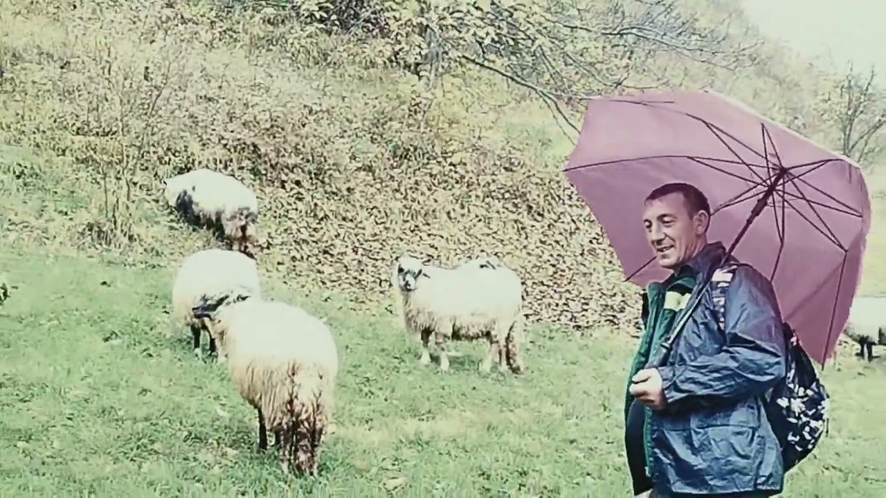 kaže islam ništa na prodaju samo dobrom jaranu ako zatreba