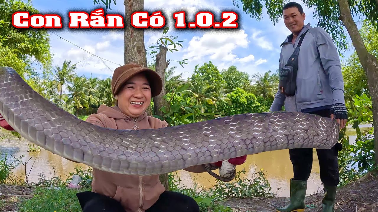 Go Den...Покорение огромной ЗМЕИ # CSBR # 394