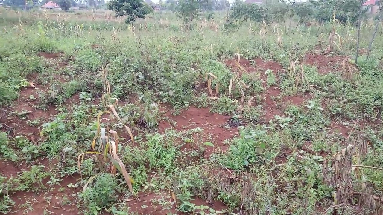 Этот первый дом продается за 15 миллионов. Обсуждение здесь, в доме на участке. 0781810992