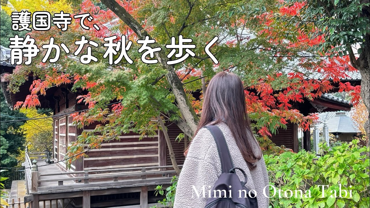 【護国寺・東京カテドラル】静かな秋を歩く｜色づきはじめた並木道と午後のひとり時間#ひとり旅 Gokoku-ji Temple of autumn leaves