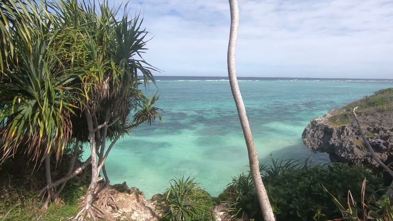 🌊 Plaja Mtende & Baobabul de 1200 de ani – Comoara ascunsă din Zanzibar 🏝️🌳