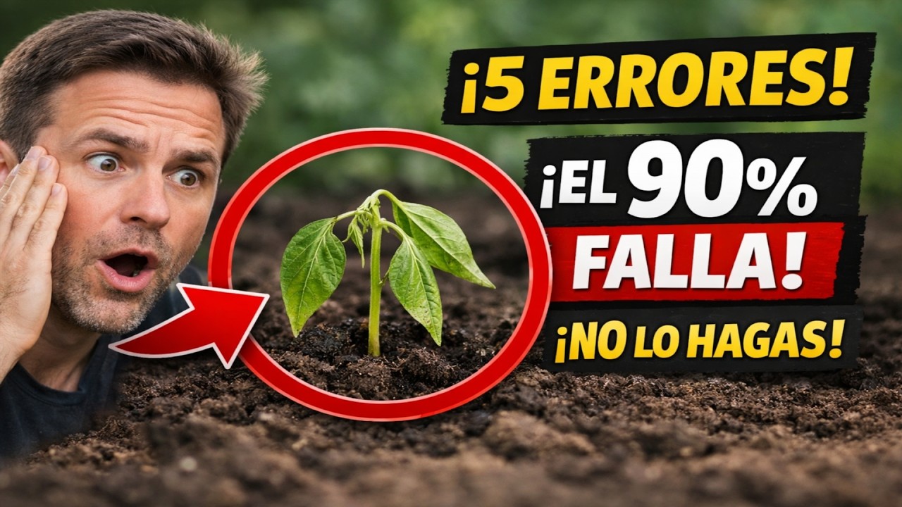 Siembra de pimientos: ¡5 ERRORES que comete el 90% de la gente! 🌶️ El secreto para una cosecha esp