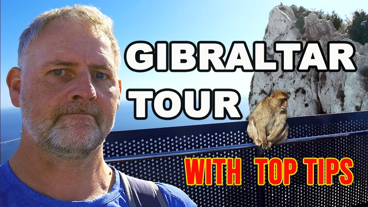 Gibraltar in a Day | Gibraltar Monkeys