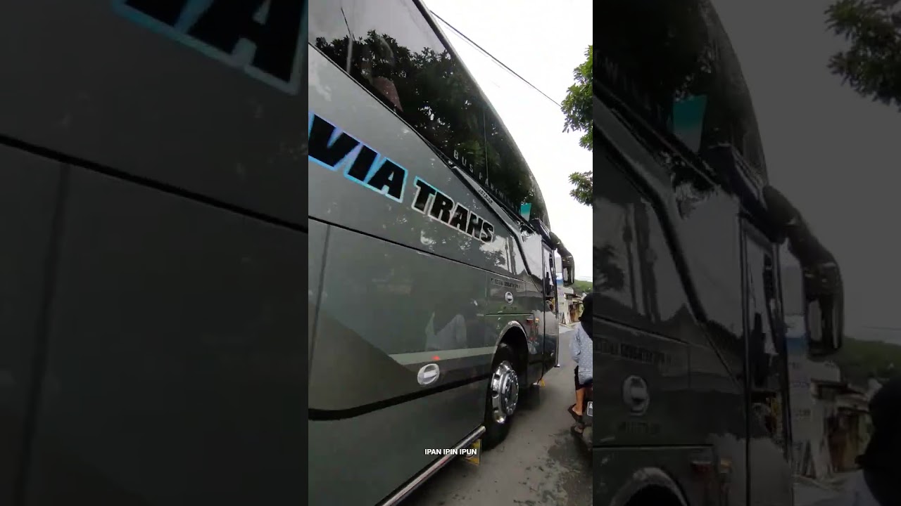 JETBUS 5 BELVIA TRANS #shorts