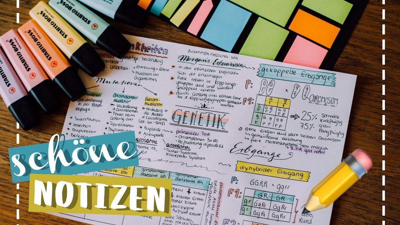 SCHÖNE NOTIZEN // JustSayEleanor ♡ (Schule, Karteikarten, Visualisieren)