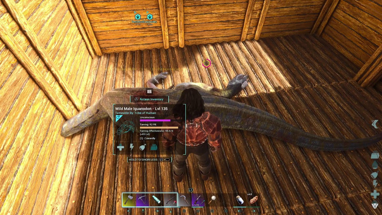 Ark