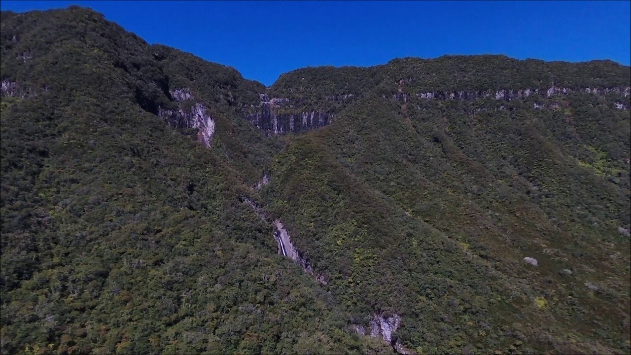 Forêt de Bébour 06 12 2018