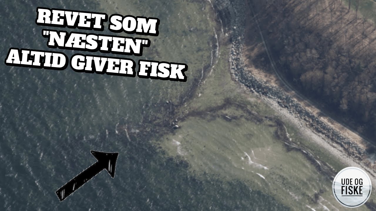 Med fluestangen til Kyndby 🎣🎣 | Fluefiskeri i Isefjorden
