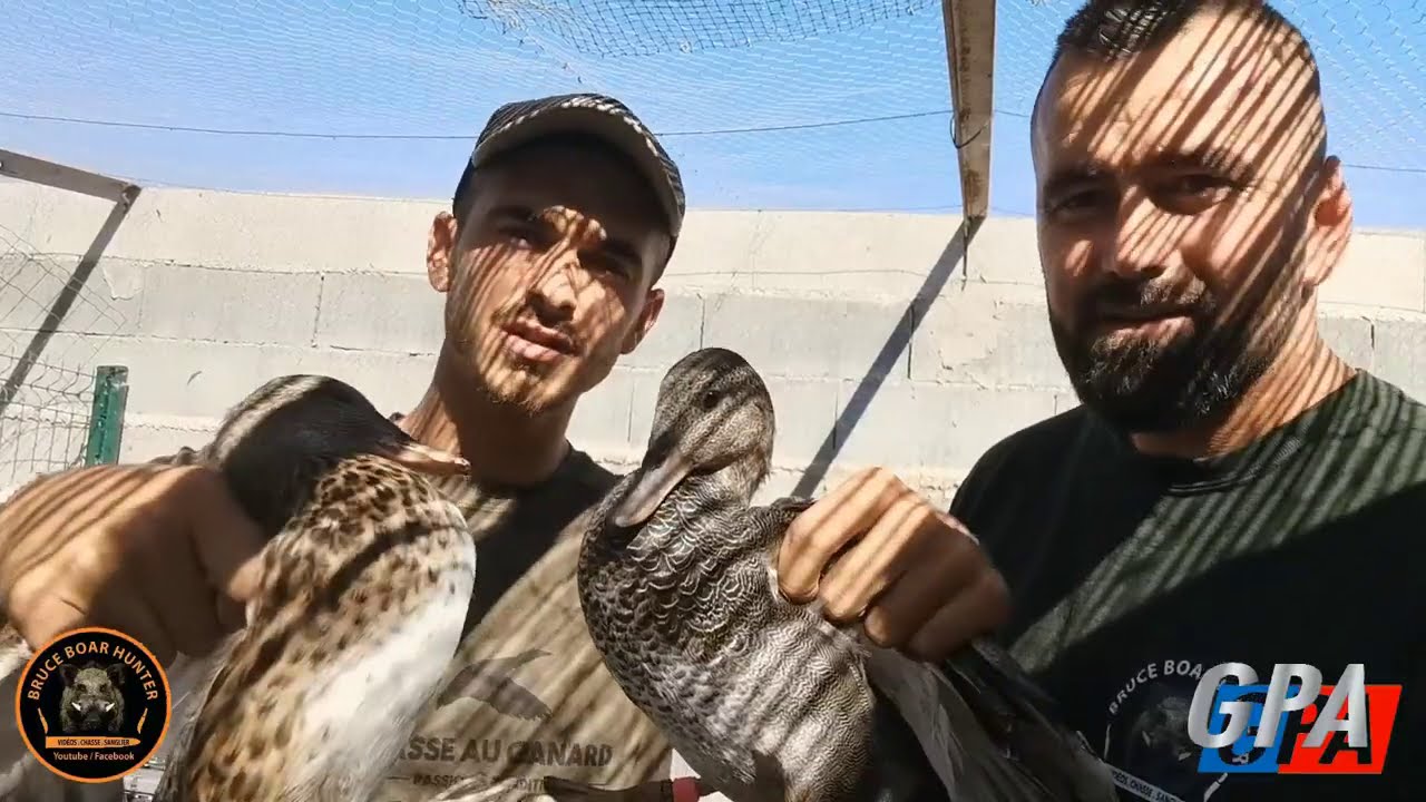 CHASSE AUX CANARDS À LA HUTTE 2020/2021