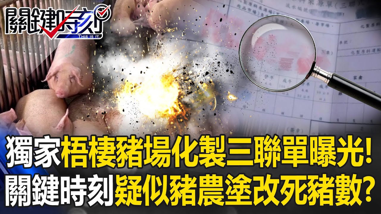 獨家！梧棲豬場化製三聯單曝光！ 「關鍵時刻」疑似豬農塗改死豬數！？【關鍵時刻】20251029-1 張炤和 黃世聰 姚惠珍 張禹宣 譚大倫