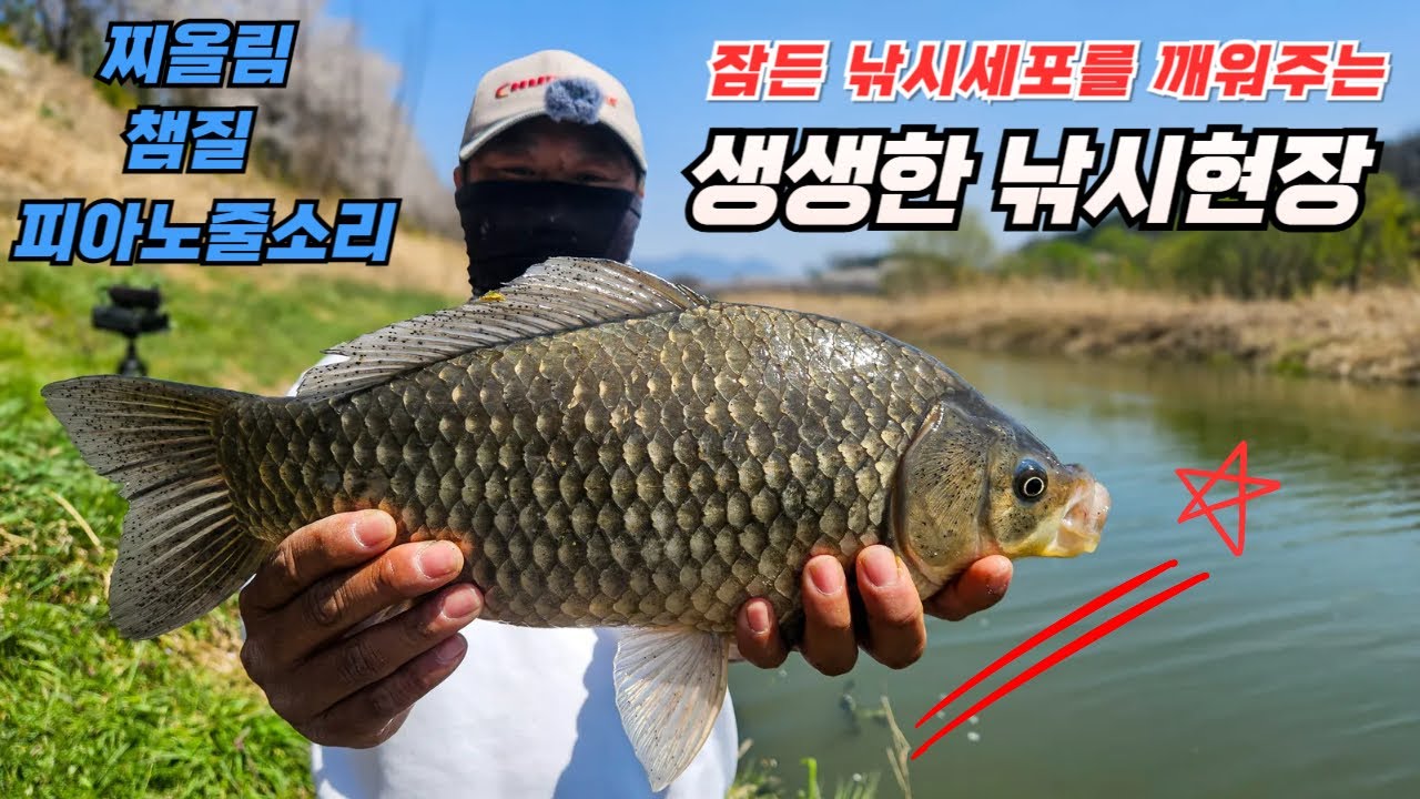 잠든 낚시 세포를 깨워주는 생생한 낚시현장