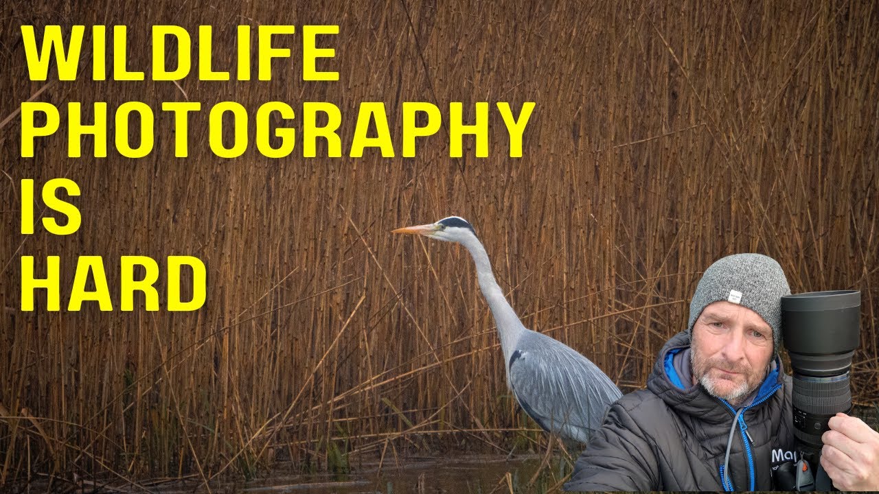 Wildlife Photography is HARD - East Coast Wildlife Reserve #wildlifephotography #wildlife #omsystem