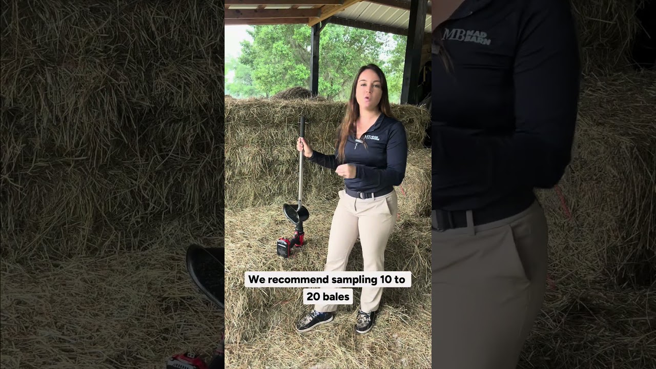 Sampling with Hay with Forage Probe