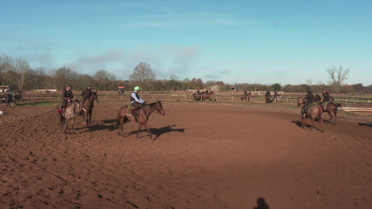 L'Écurie Nicolle, école de champions jockeys en Charente-Maritime