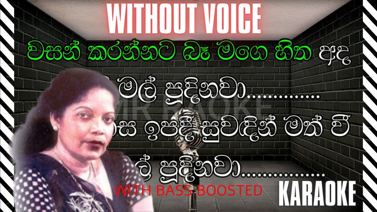 වසන් කරන්නට බෑ මගෙ හිත අද🎙️ මාලනී බුලත්සිංහල | Wasan Karannata Ba Karaoke | Mr Raoke