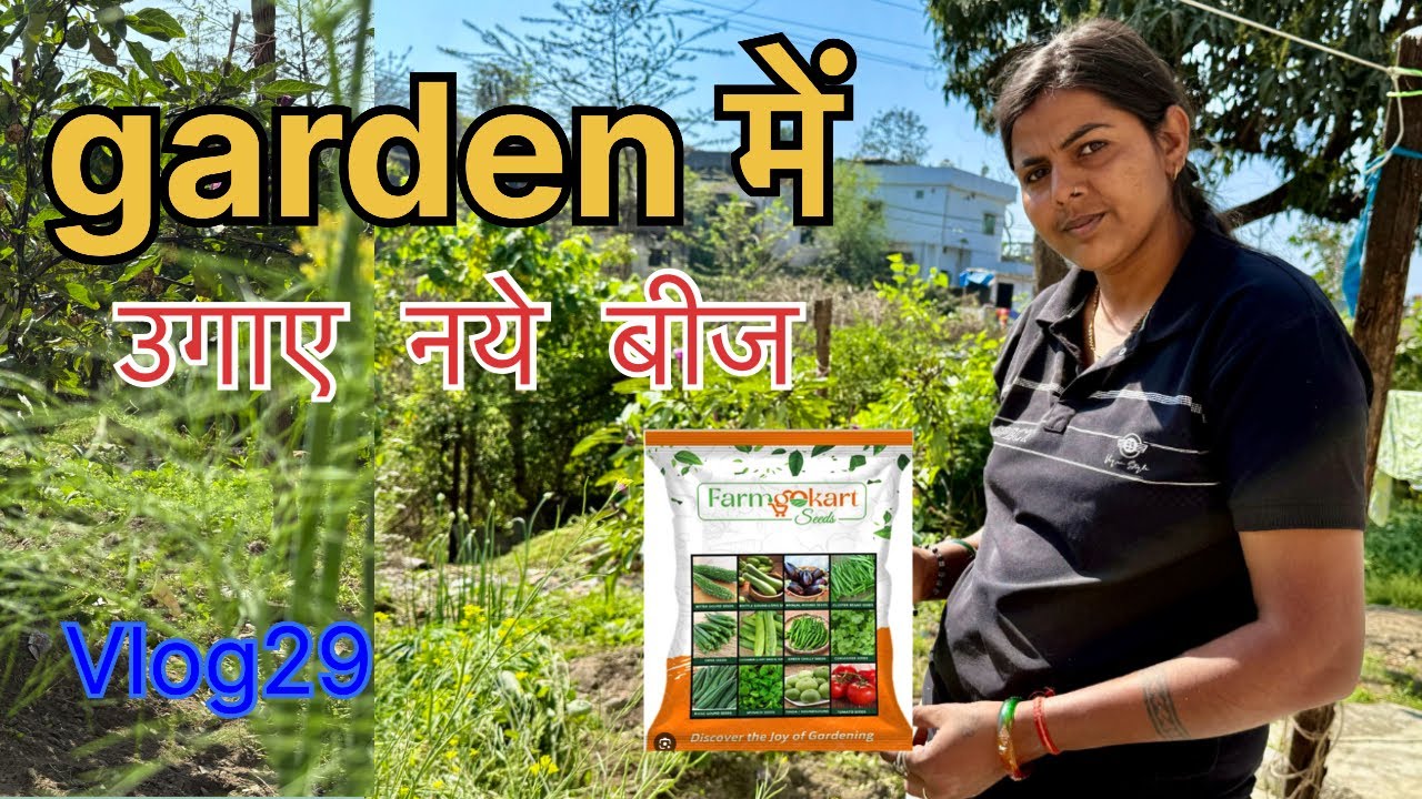 Garden में नई सब्ज़ियाँ लगाई 🌱 | खुदाई से लेकर बीज़ लगाने तक | Vlog Day 29 