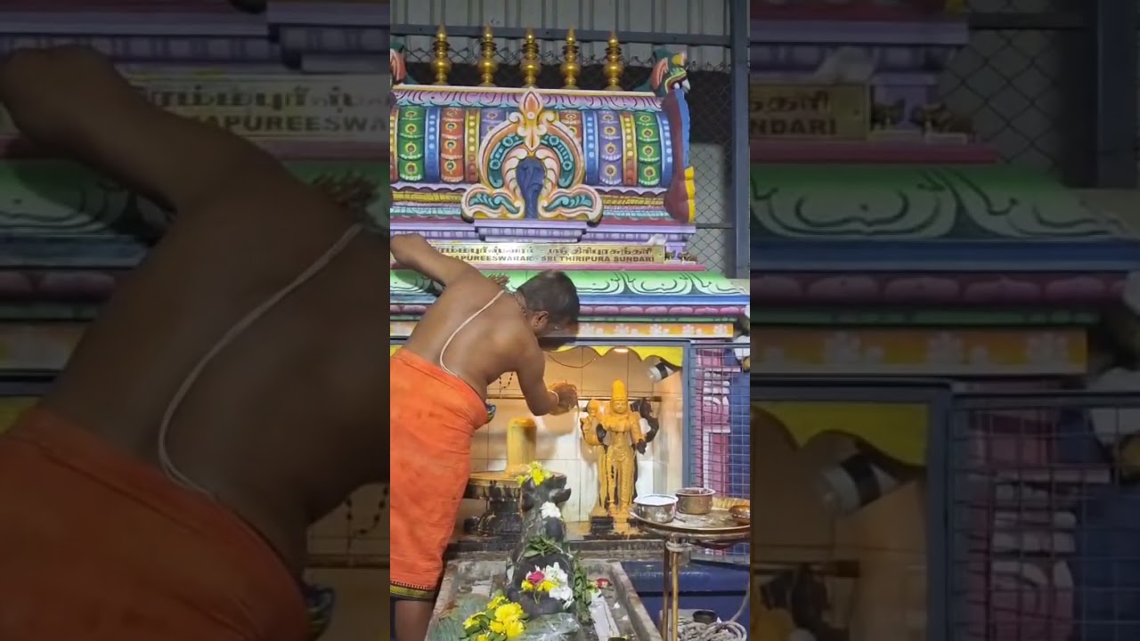 Temple. GOLDBELL.2021-26. Maha shiva rathiri at Ram Nagar, Madipakkam 