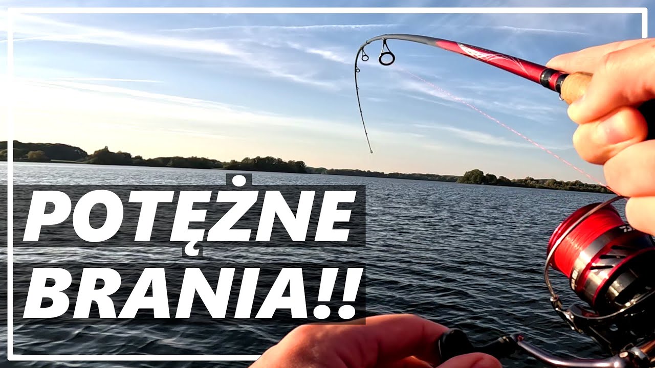 Odpaliły na poważnie! Wieczorne szczupaki! Solidne strzały w duże przynęty! Wędkarstwo spinningowe