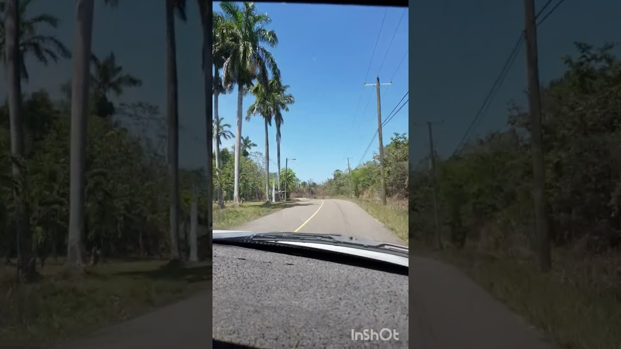 Belize - Old Northern Highway. Belice - Antigua Carretera del Norte. Белиз - Старое северное шоссе.