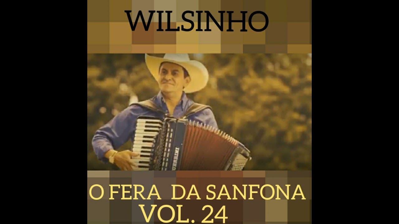 Casamento da Doralice - Wilsinho o Fera da Sanfona