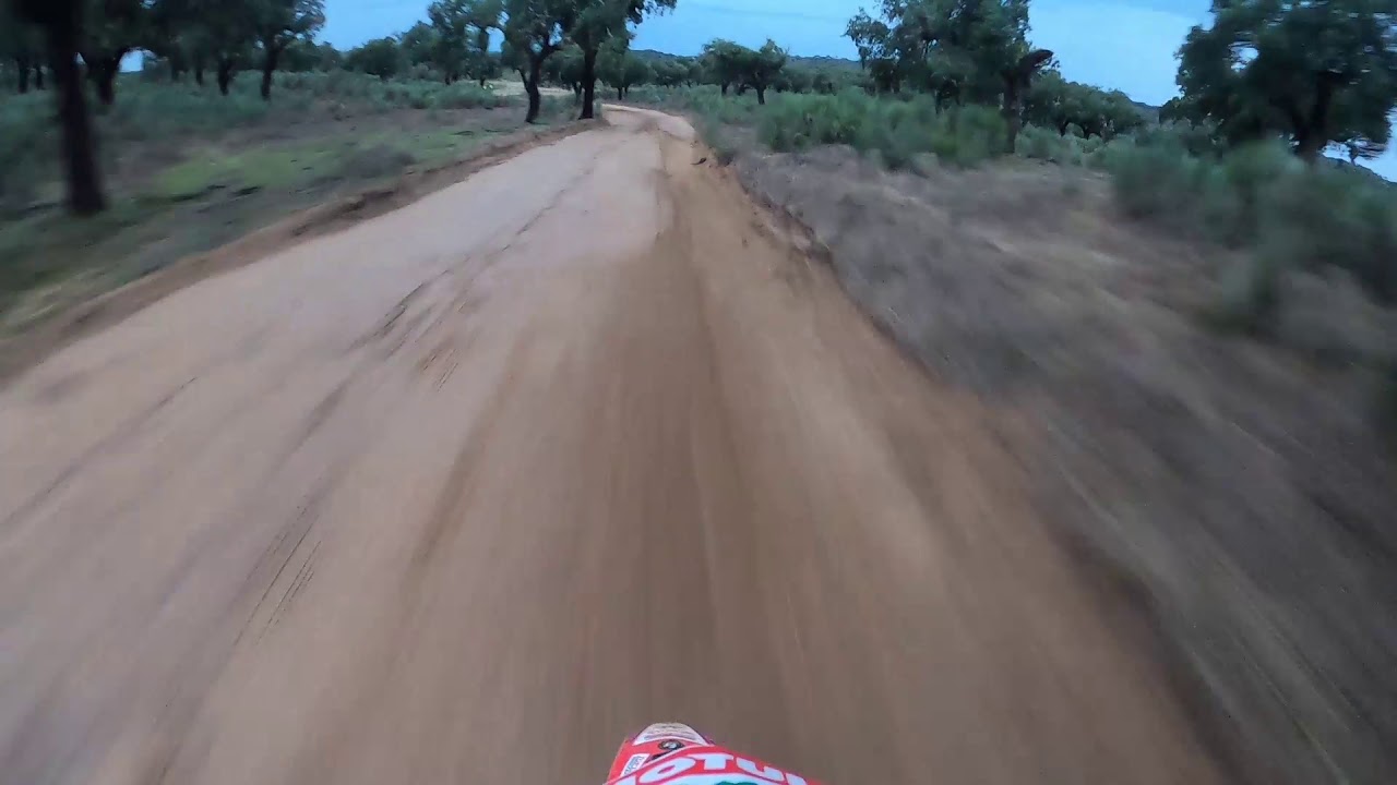 Prologo Baja Portalegre 2020   Bianchi Prata Honda CRF450RX 0