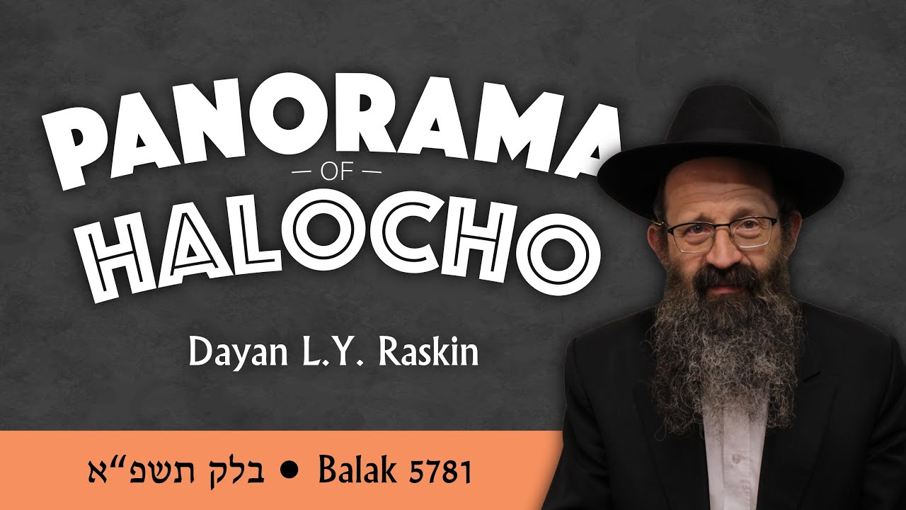 Panorama of Halocho - Balak 5781