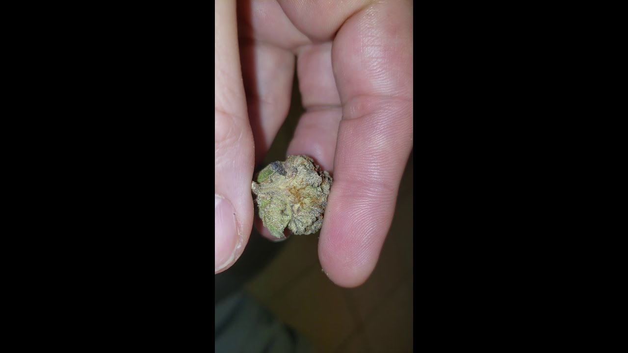 #Ice cream cake!! By Ember valley produced by cookiessf!! This shit is striaght fire