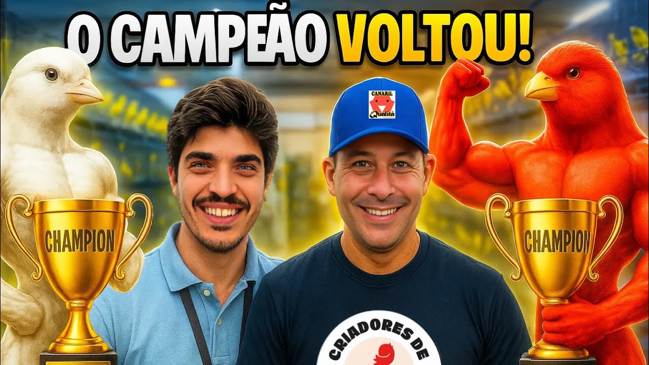 MELHORES CANÁRIOS do Brasil: veja como são escolhidos
