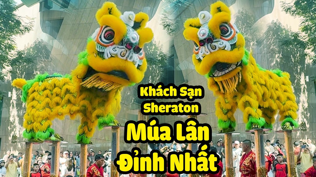 Múa Lân mùng 1 Tết 2026 đoàn LSR Nhơn Nghĩa Đường biểu diễn Múa Lân nhảy Mai Hoa Thung Cực Hay