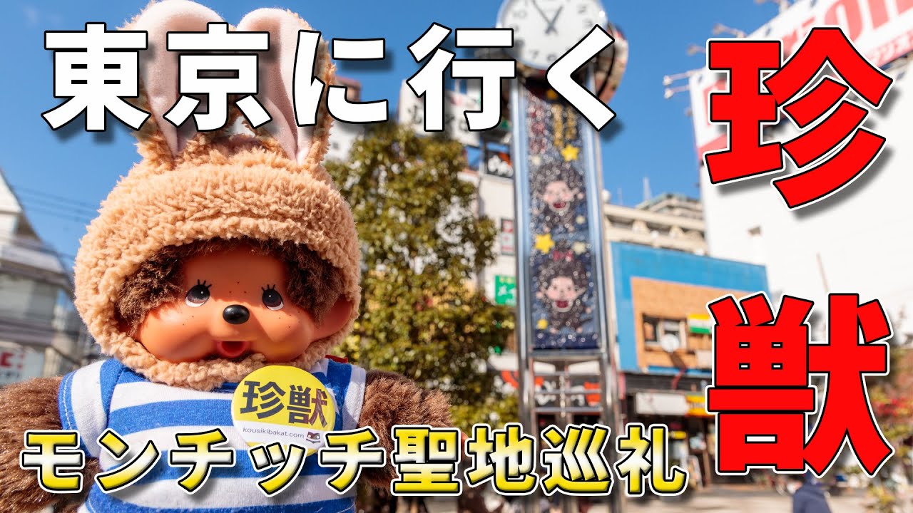 珍獣東京へ行く！モンチッチ連れて聖地巡礼行ったらめちゃくちゃ楽しかった件