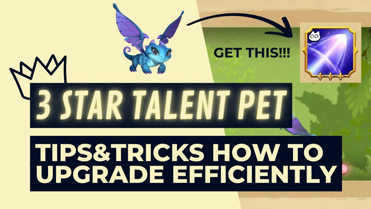 3 STAR TALENT PET | TIPS&TRICKS HOW TO UPGRADE EFFICIENTLY | CALL OF DRAGONS