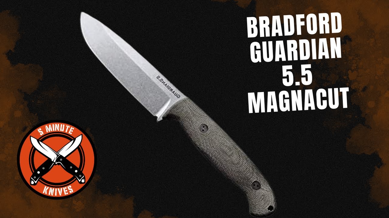 The Best Fixed Blade of 2025? 🔥