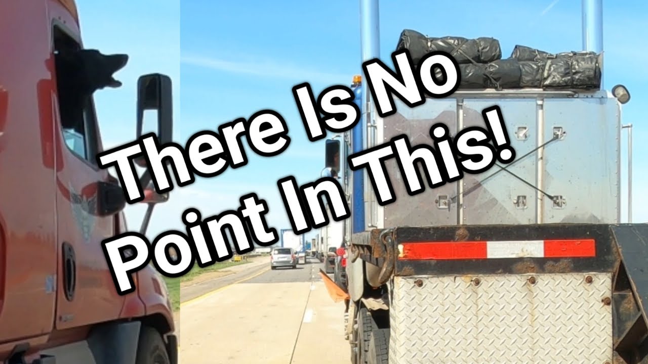 Drivers Dog Barking My Brains Out While I Prove Zipper Merge Is Best