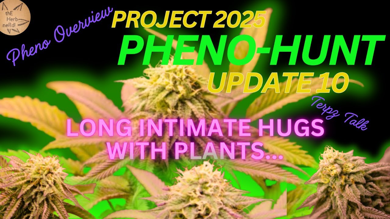 Project 2025 Update 10 Long intimate hugs with plants #420 #garden #gardening