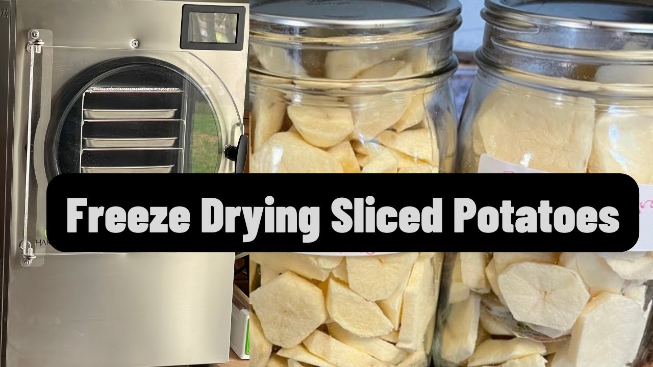 Freeze Drying Sliced Potatoes #preserving #DIY #yogihollowfarm