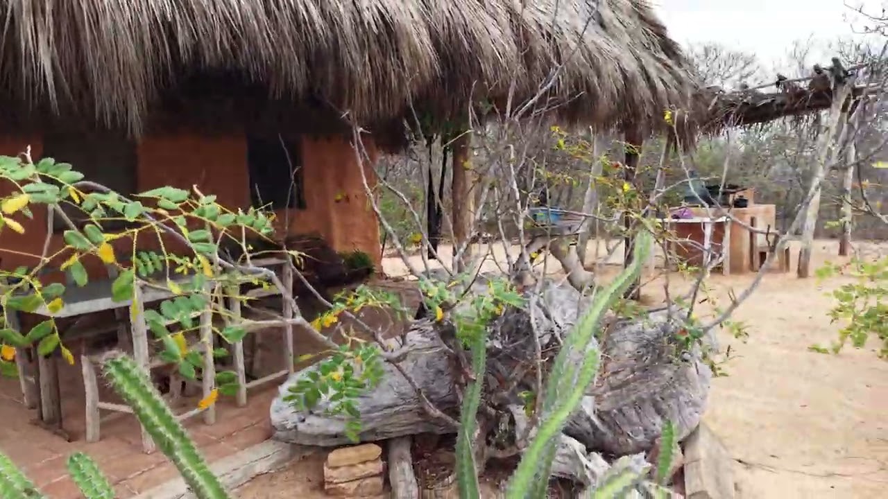 Ipala Cabanas, Great Surf Fishing