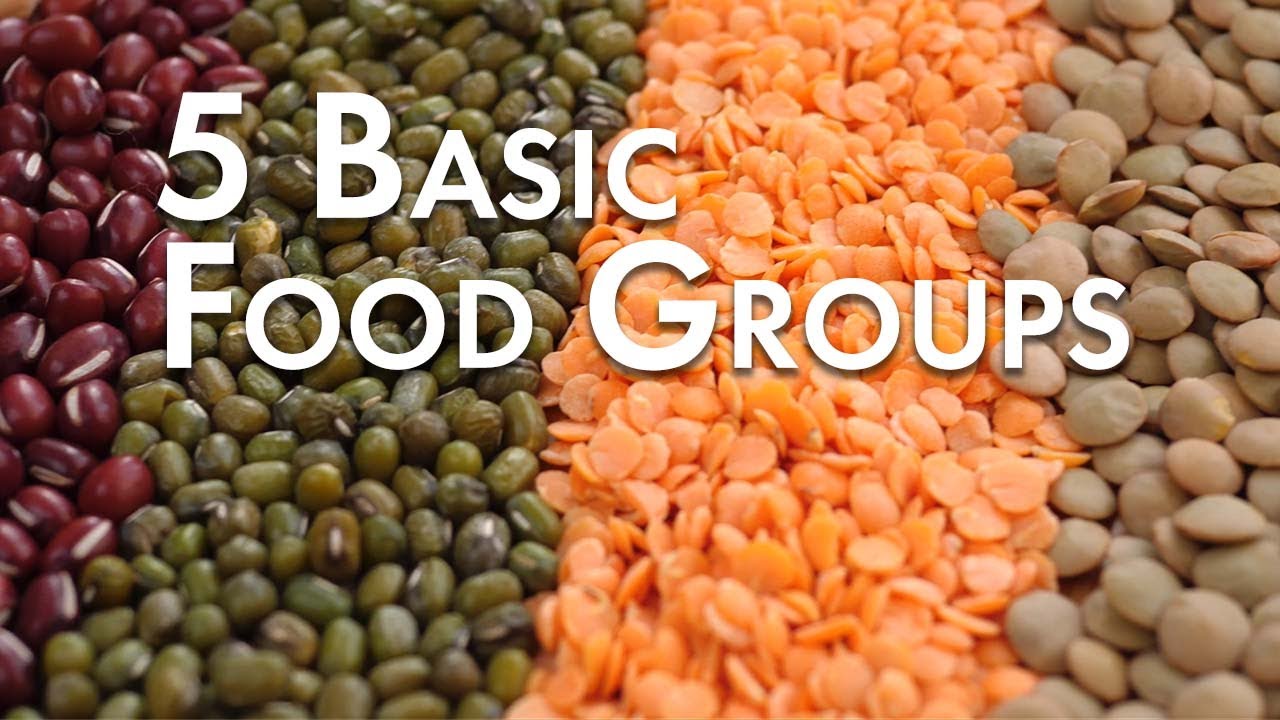 The 5 BASIC FOOD groups you NEED to know