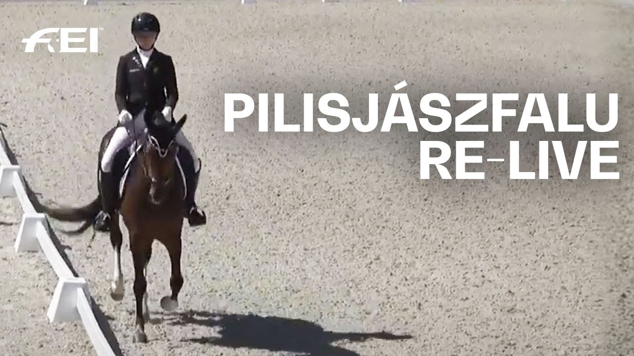 RE-LIVE | Dressage Team Test Day 2 | Ponies | FEI Dressage European Championships 2020